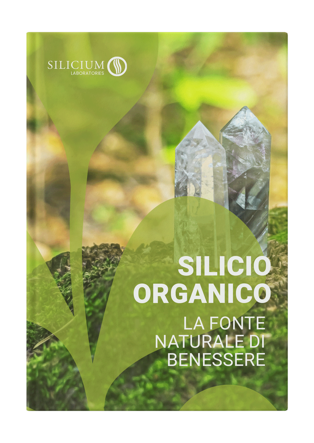 SIL-Silicio-organico-Portada-3D-IT
